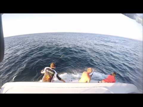 COMPTON FISHING jonesy fish 10kg