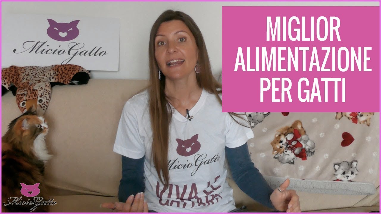 Watch Now Alimentazione del gatto: la scelta migliore e come non farsi fregare! Alimentazione del gatto: la scelta migliore e come non farsi fregare!