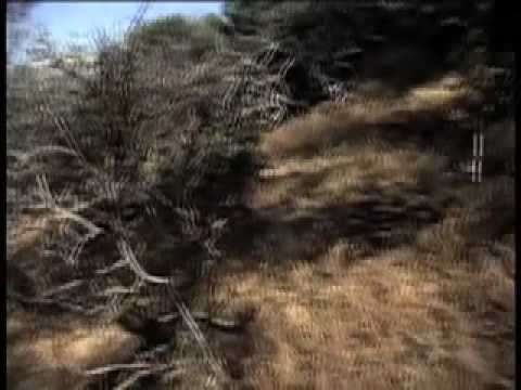 The Infiltrator, Episode 8, "Pipe Dream"