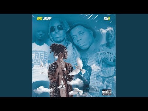 BMG Pound Freestyle HEADSHOT