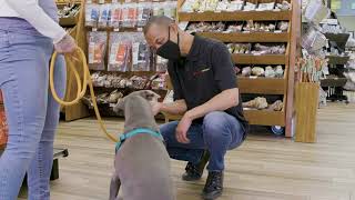 Pet Food Express