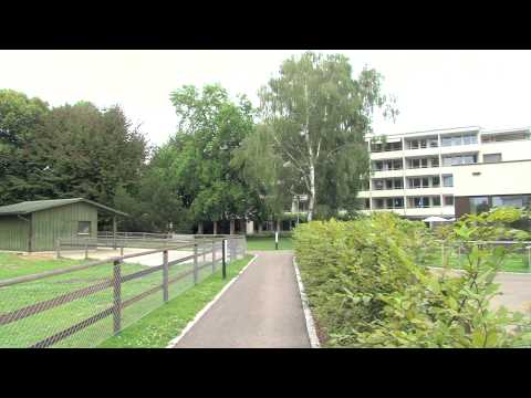 1A.TV - Alters- und Pflegezentrum Amriswil, Amriswil TG (Video)