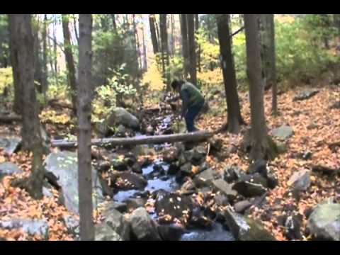 Tockolotoc - Gypsy Bohemians: SO HAS ODA HAS