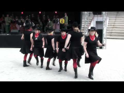 Elva sünnipäev 2011 - Country-Line