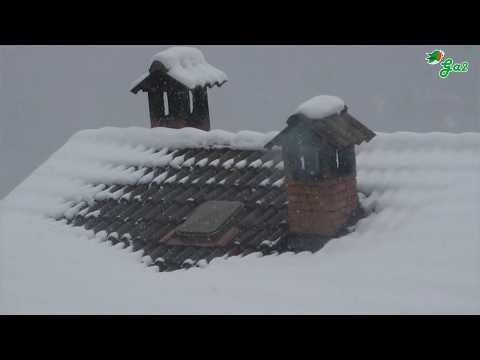 Elurra teilatuan (Sagu eta Magu)