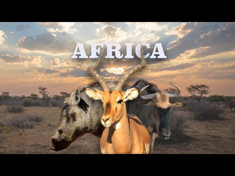 Africa, un viaje de caza obligatorio.