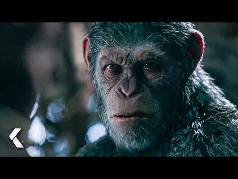 I Did Not Start This War! Scene - War for the Planet of the Apes (2017)