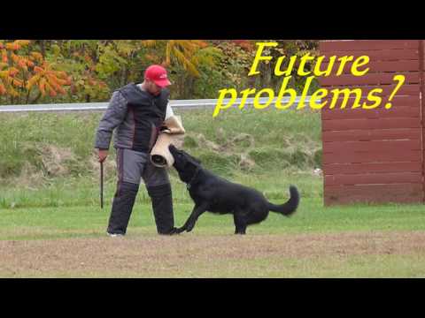 Griff Bonina IPO1 C 93 pts