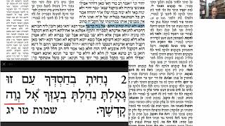דף יומי מסכת בבא בתרא דף צח Daf yomi Masechet Bava Batra page 98  ע"י יוני גוטמן (שיעורי הדף היומי ב-20 דקות - מועבר ע"י ר' יוני גוטמן - לעילוי נשמת אביו ר' אלימלך צבי (צביקה) גוטמן ז"ל) - התמונה מוצגת ישירות מתוך אתר האינטרנט יוטיוב. זכויות היוצרים בתמונה שייכות ליוצרה. קישור קרדיט למקור התוכן נמצא בתוך דף הסרטון