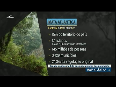 Mata Atlântica: medida provisória que altera regras de proteção será analisada pelo Senado