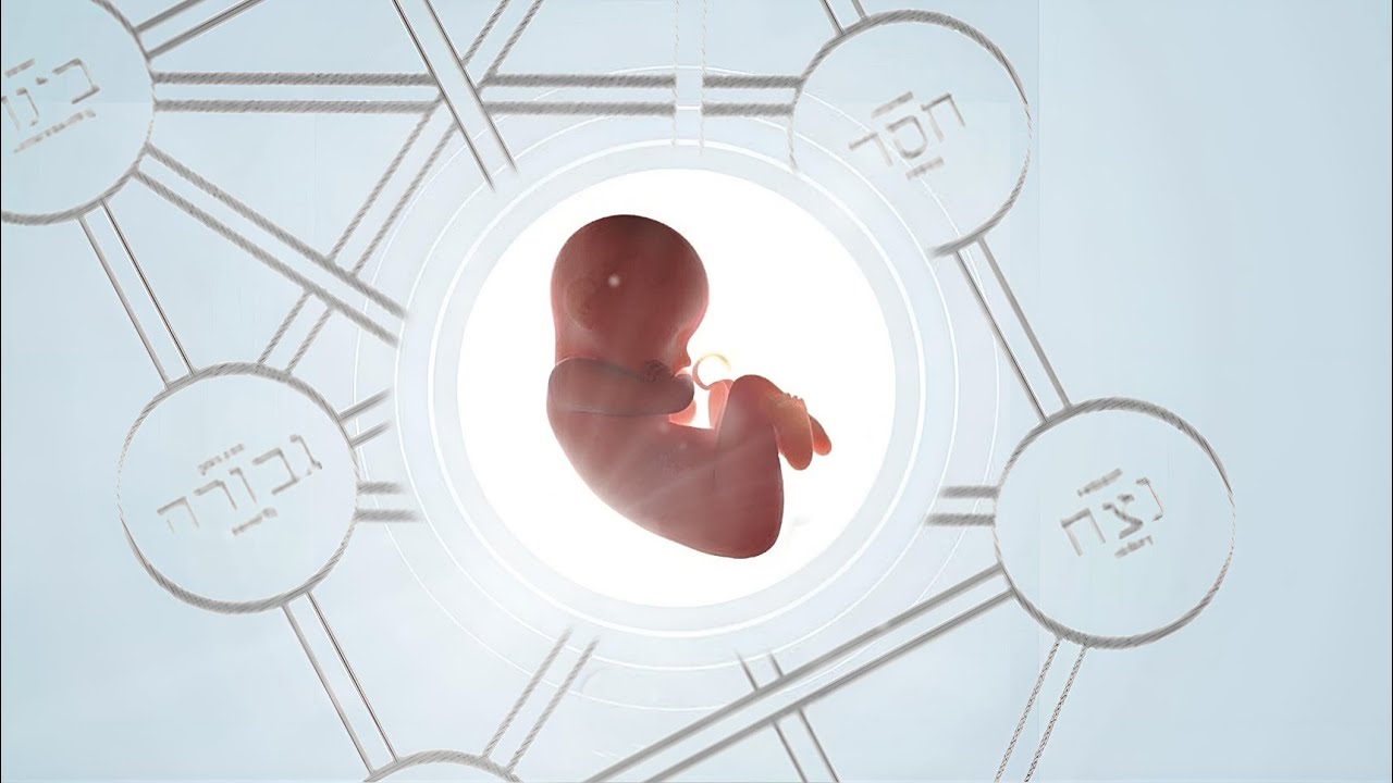 O CAMINHO DA NESHAMA DESDE O NASCIMENTO (A Dinâmica Entre O Humano E O Divino)