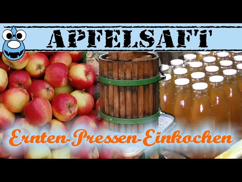 DIY🍎Apfelsaft🥃 Ernten, Pressen, haltbar machen😀👍