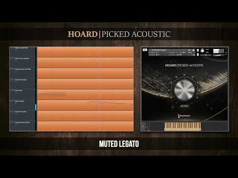 Hoard Picked Acoustic | Patch Highlights