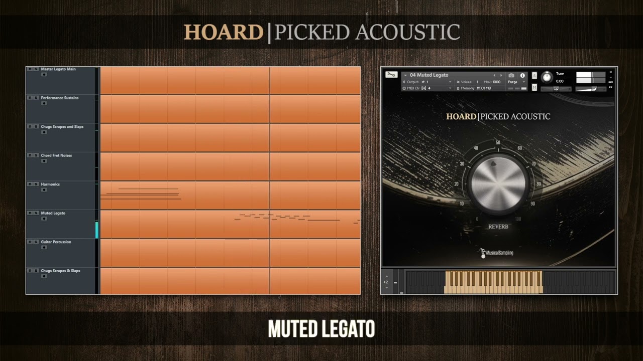 Hoard Picked Acoustic | Patch Highlights