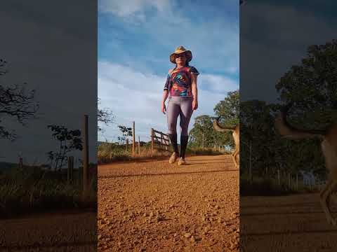 Caminhada sertaneja Comunidade Santa Rita município Vianópolis Goiás Brasil