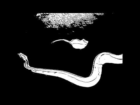 Goa x Pochi x Dafresito x Papi Trujillo - 2021 // nightcore