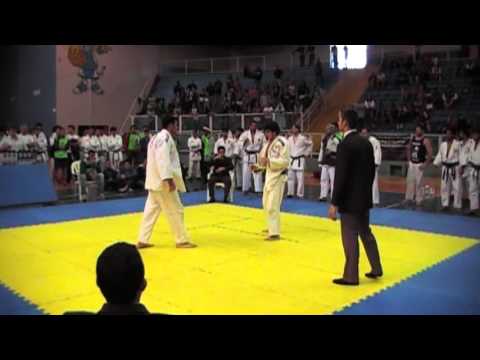 intermed paulista x santos 4)