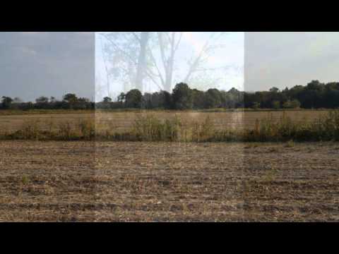 Archive 56 Video thumbnail