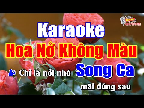 Karaoke Hoa Nở Không Màu Song Ca | HtroLL Dance EDM | Bạch Duy Sơn