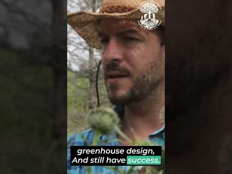 Micro Climates in the Chinampa