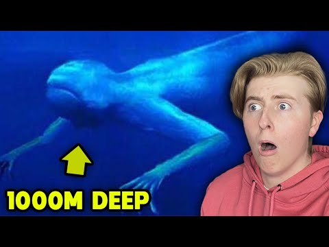 The Ocean Is WAY DEEPER Than You Think