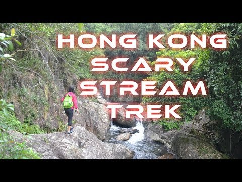 download lagu mp3 mp4 Lotus Stream Hong Kong, download lagu Lotus Stream Hong Kong gratis, unduh video klip Lotus Stream Hong Kong