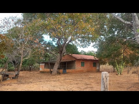 Chácara Vila Boa-Go/15,56 hectares/ESCRITURADA . Casa, poço artesiano, cercada. 