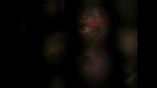 My Roommate's A Douche.