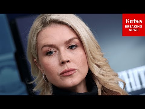 Reporter Asks Karoline Leavitt About Federal-State Cooperation In Alex Pretti  Killing Investigation