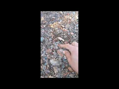 Doğadan zengin olmanın yolları #keşfet #trend #reels #değerlitaş #zümrüt #yakut #altın #bitcoin