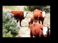Colorado Country - Gary R. Smith (GRS WEST MUSIC)