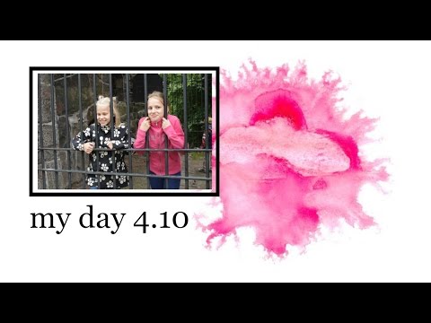 Päivä korkeasaaressa