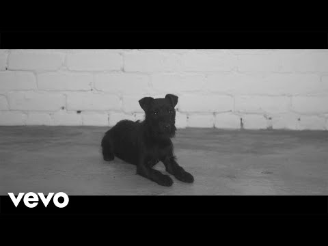 Video thumbnail for Born to Be Whole
