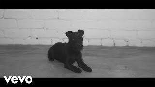 Prides - Born To Be Whole