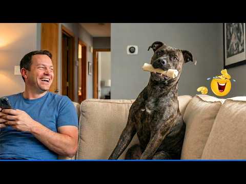 Try Not To Laugh Funny Cats and Dogs Videos 🤣🐶 The Funniest Cat & Dog Moments Compilation 🐾