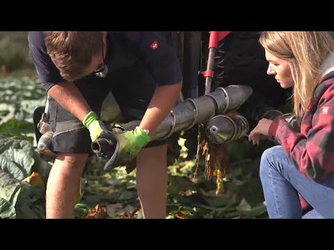 Tractor broken: Breakdown during filming of “Stallgeflüster”