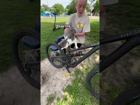 YouTube Thumbnail