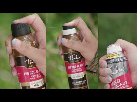 EVERYTHING YOU NEED TO KNOW about Tink's #69 Doe In Rut!