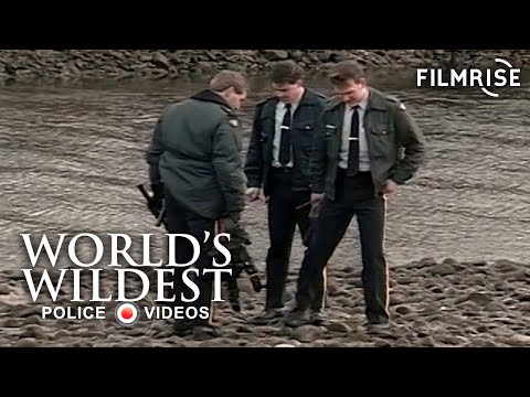 Mailman Hires Hitman  | World's Wildest Police Videos | Season 3, Episode 11