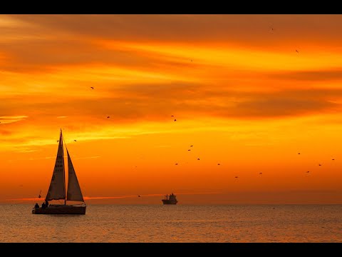 Trương Chi Sheet - Trần Thái Hòa