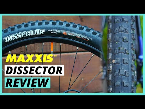 The Best Do It All Mountain Bike Tire? | Maxxis Dissector Review