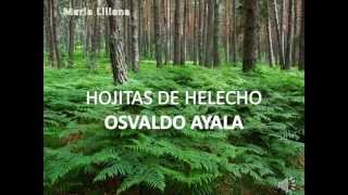 HOJITAS DE HELECHO OSVALDO AYALA