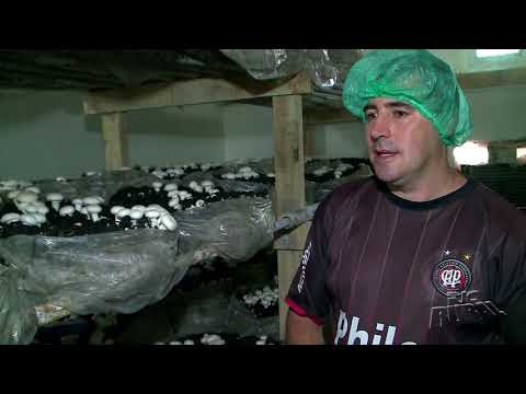 O RIC Rural te leva em um passeio em Tijucas do sul