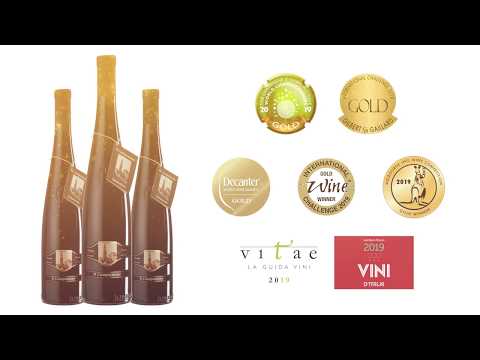 Il Campanone The best Lambrusco