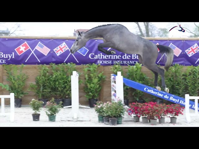 Calinka du Mury Marais Z