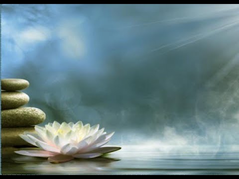 No Mud, No Lotus - A 10 Minute Meditation with Trish Gaffney