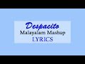 Despacito - Malayalam Mashup Lyrics | Farzee ft Safdar Hafiz, Aadhi De Karmans
