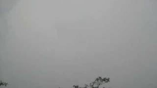 Ambulance for the Ambience