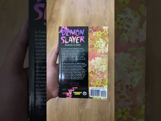 Vídeo relacionado con Set de 6 pósteres clásicos de anime de cómic de fantasía Demon Slayer - Arte de pared en lienzo estético para habitación, decoración del dormitorio, 20x30cm(08x12pulg)