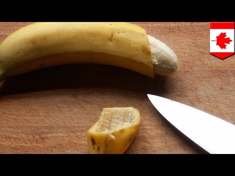 Termasuk Beli patogen Analog patogen kuda
